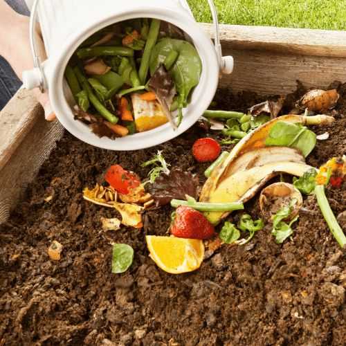 Compost avec des déchets organiques
